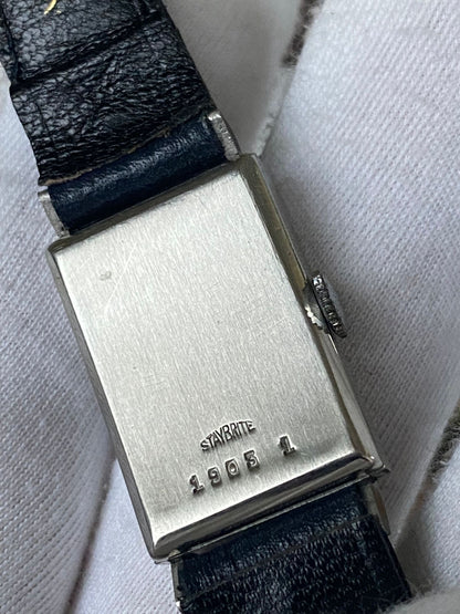 Anonimo Tegolino
